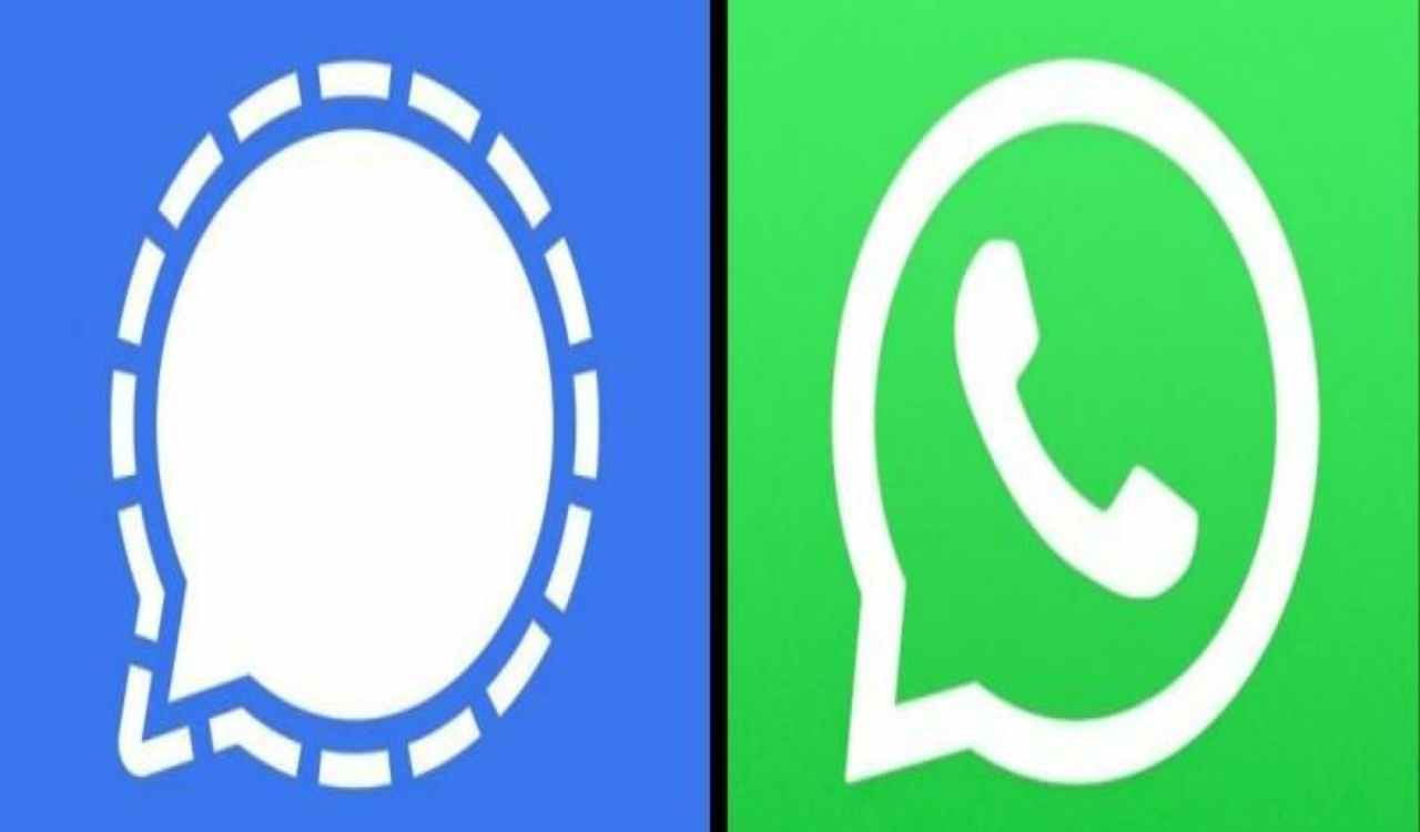 Signal Whatsapp