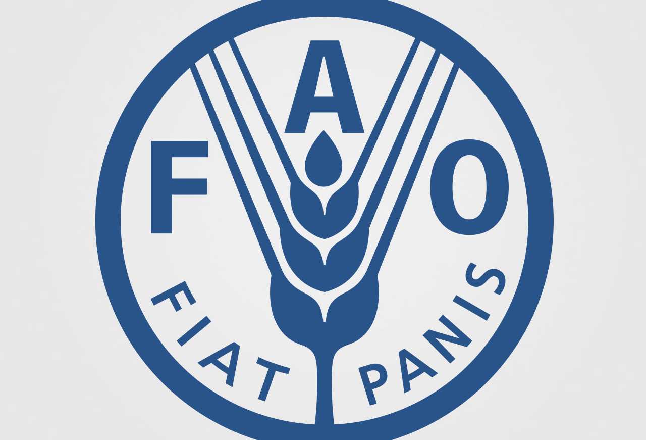 tirocini retribuiti FAO