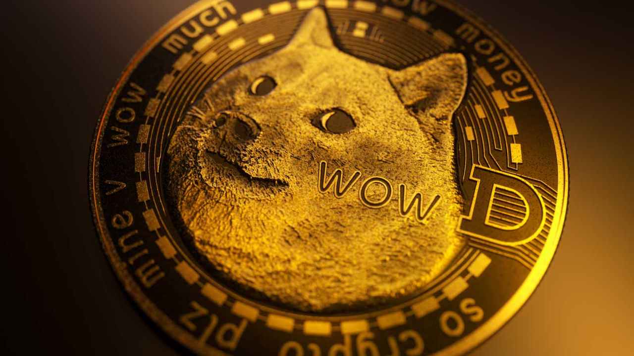 Dogecoin criptovalute