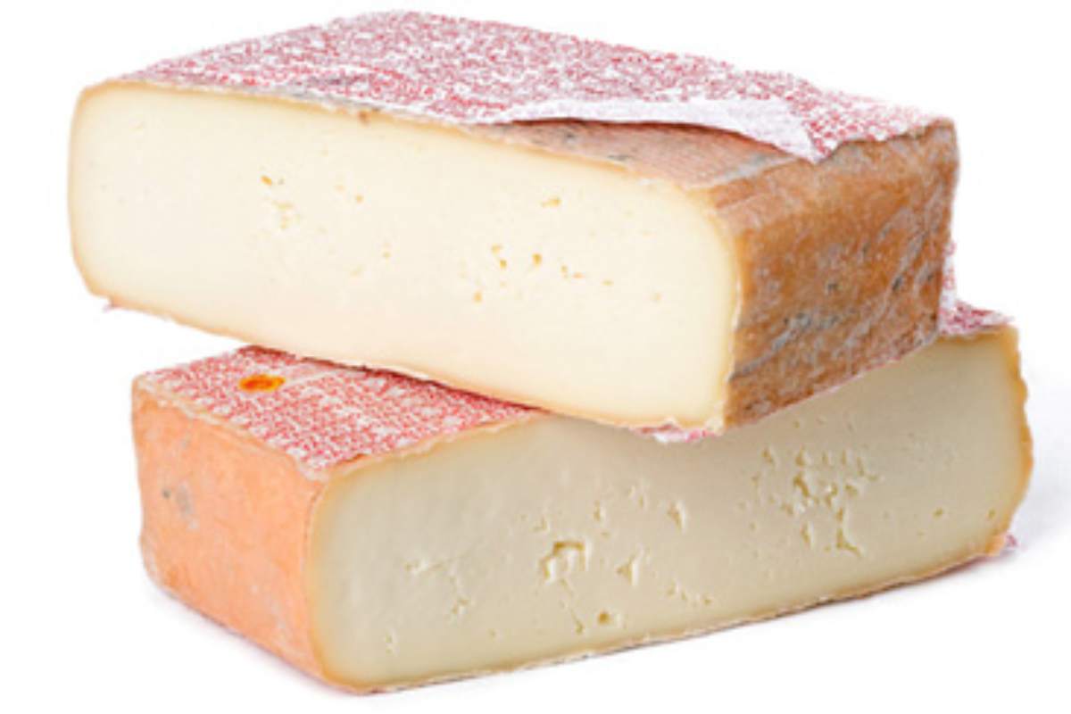 Formaggio Taleggio (Fonte: web)