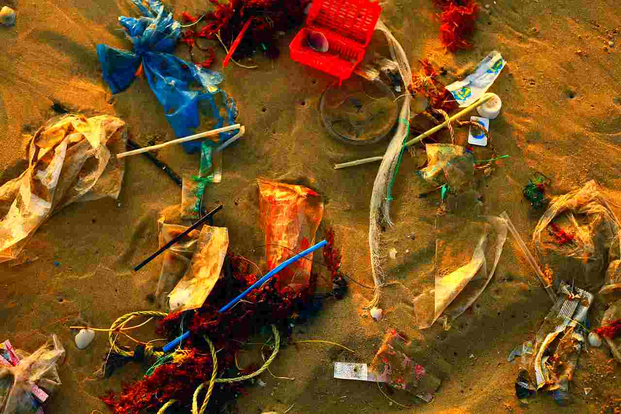 Allarme alimentare questi cibi contengono microplastiche, gli effetti