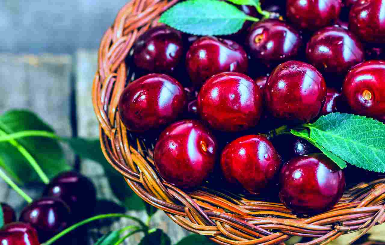 Allarme pesticidi, il rapporto di Pan Europe: "Metà delle ciliegie vendute in UE sono tossiche"