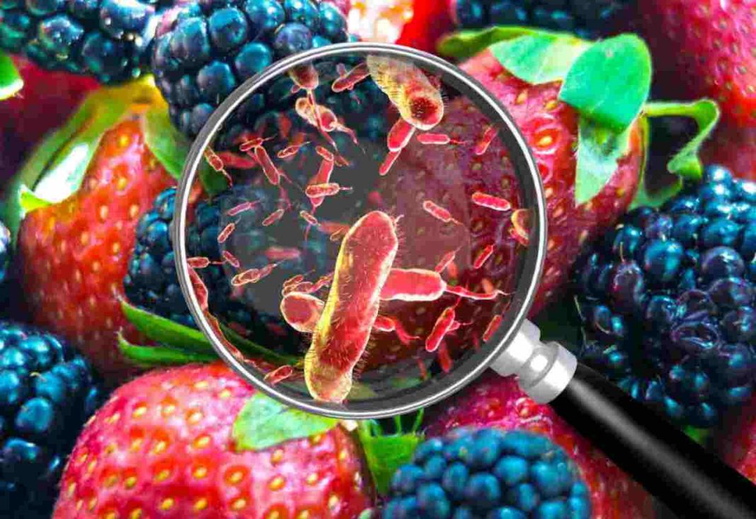 Cibo contaminato, è tutto sulle nostre tavole prodotti ritirati per mercurio, fumonisima Cibo contaminato, è tutto sulle nostre tavole prodotti ritirati per mercurio, fumonisima
