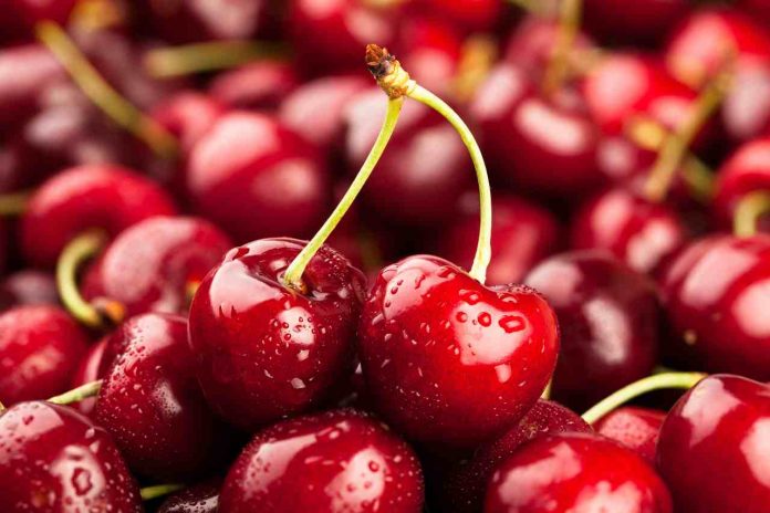 cherry macro cherries and pesticides