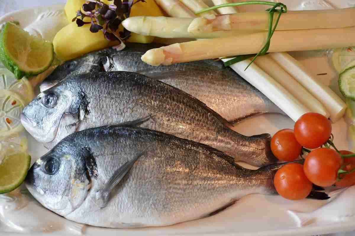 ritiro alimentare pesce
