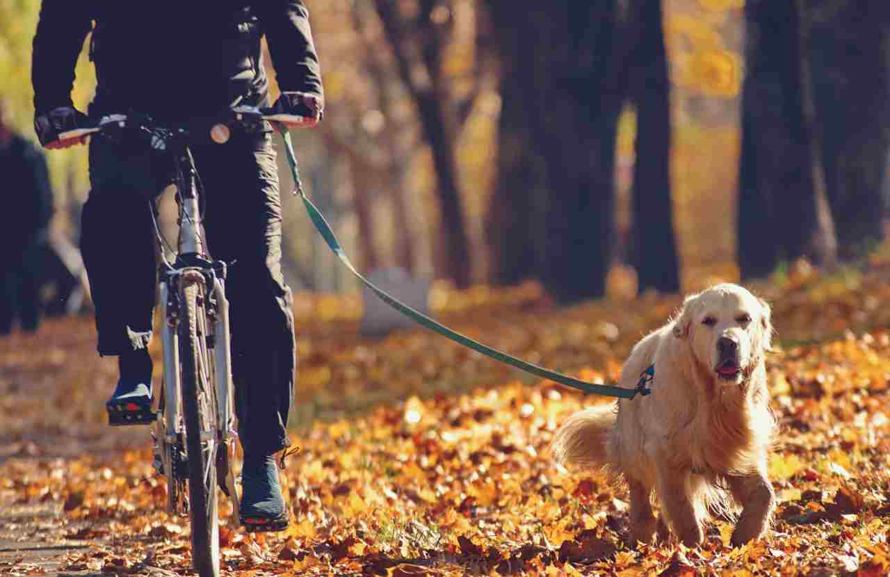 Andare in bicicletta, non è mai stato così costoso: multe fino a 173 euro