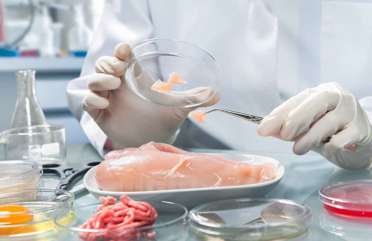 Cibi tossici - plastica, tossine e salmonella arrivano sulle nostre tavole: i cibi contaminati