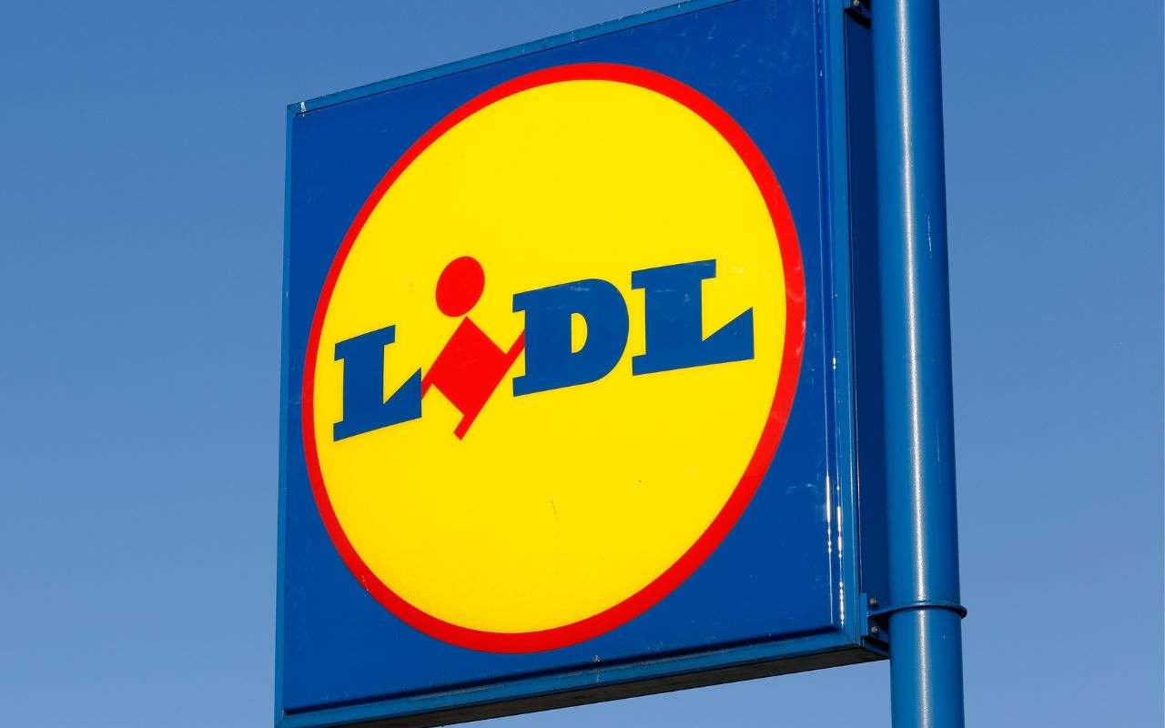 Lidl offerte lavoro