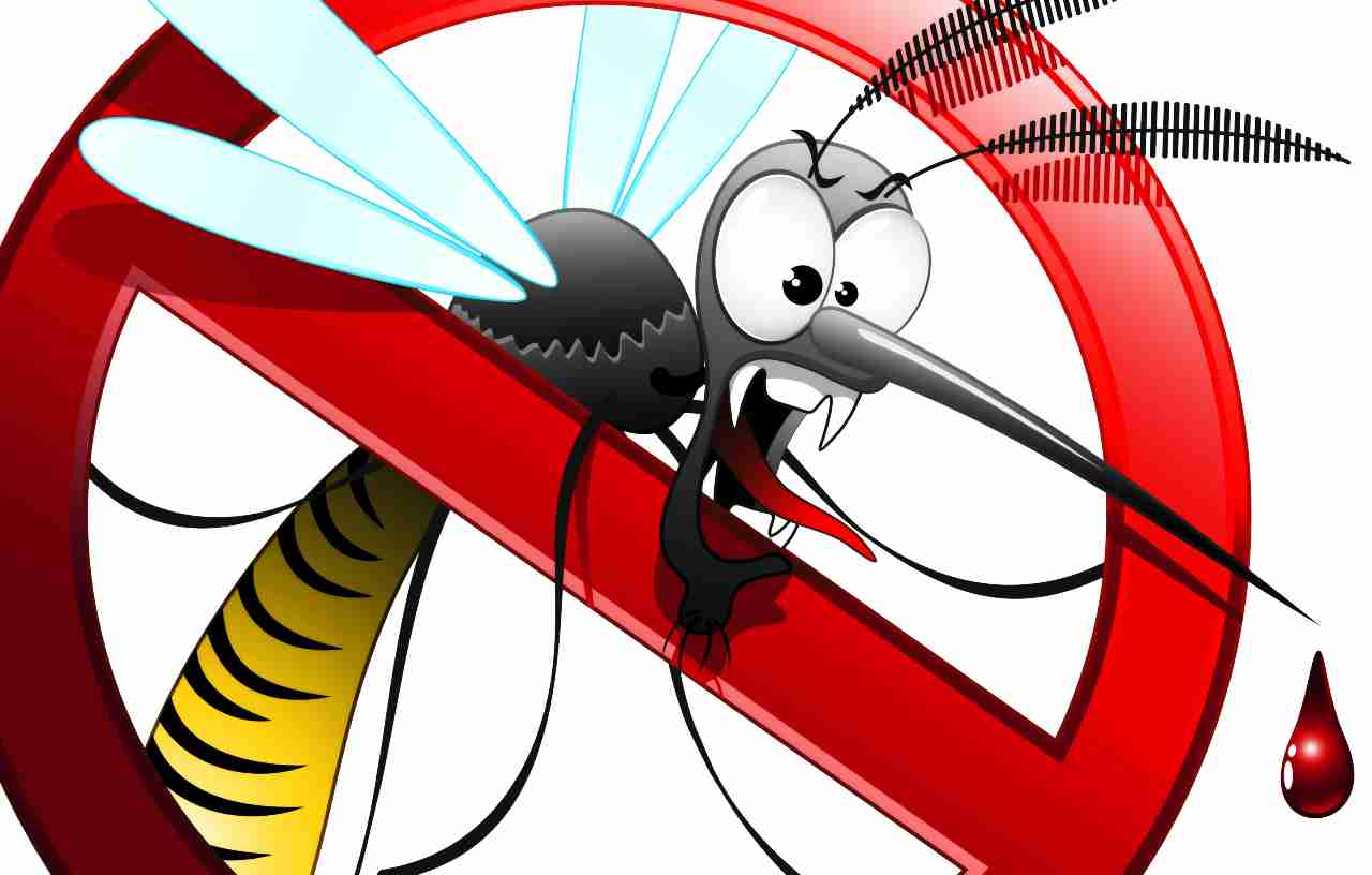 Stop alle zanzare