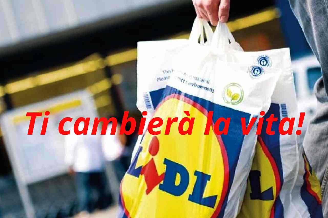 lidl assunzioni