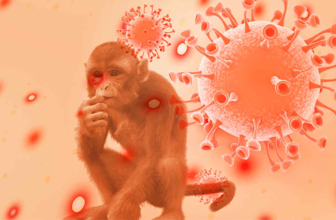 epidemia vaiolo delle scimmie 