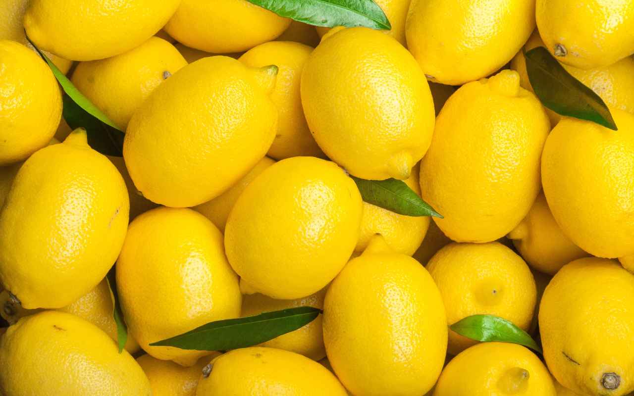 Limoni supermercato