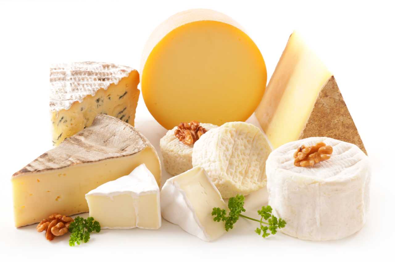 formaggio contaminato