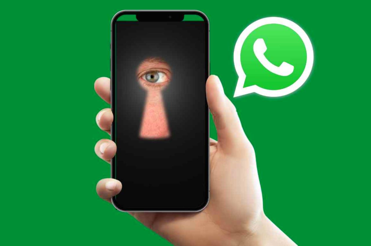 WhatsApp spia 