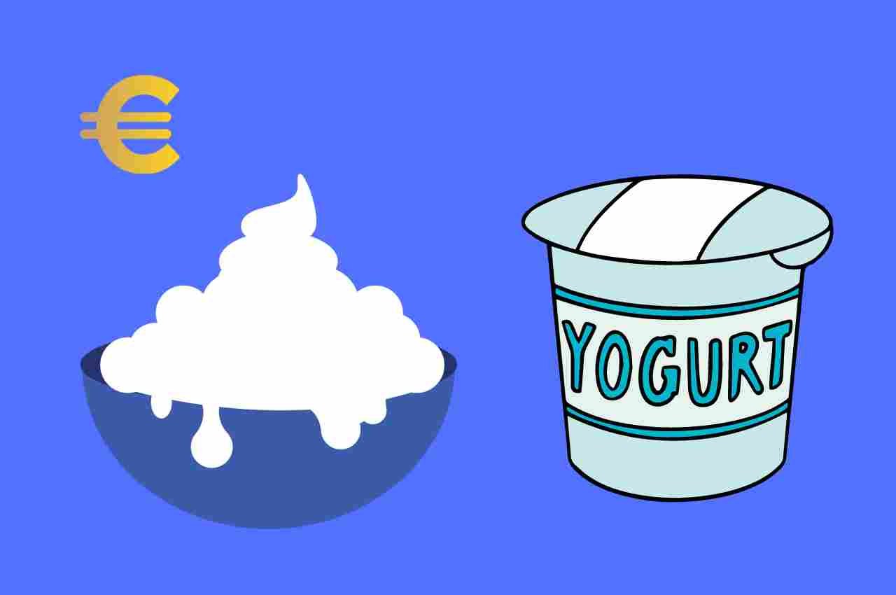 Yogurt