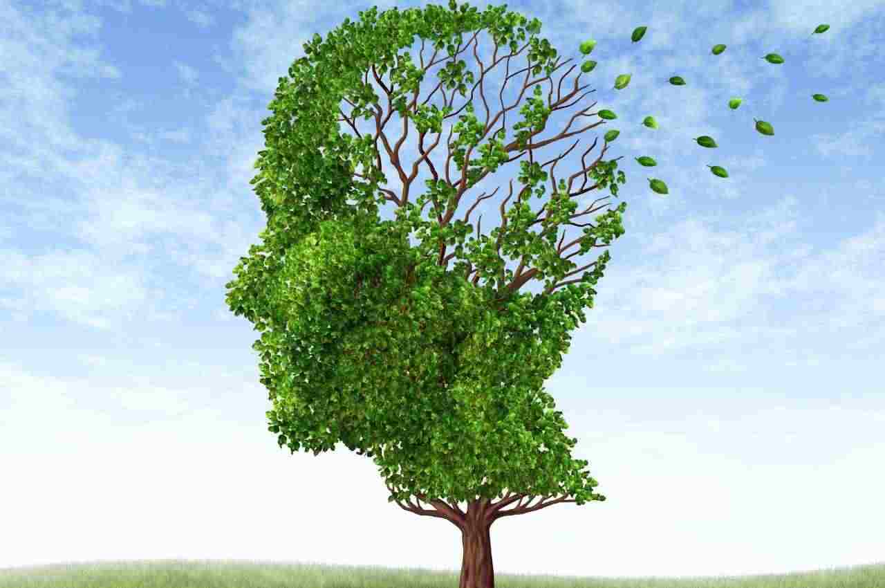testa con memoria che vola via