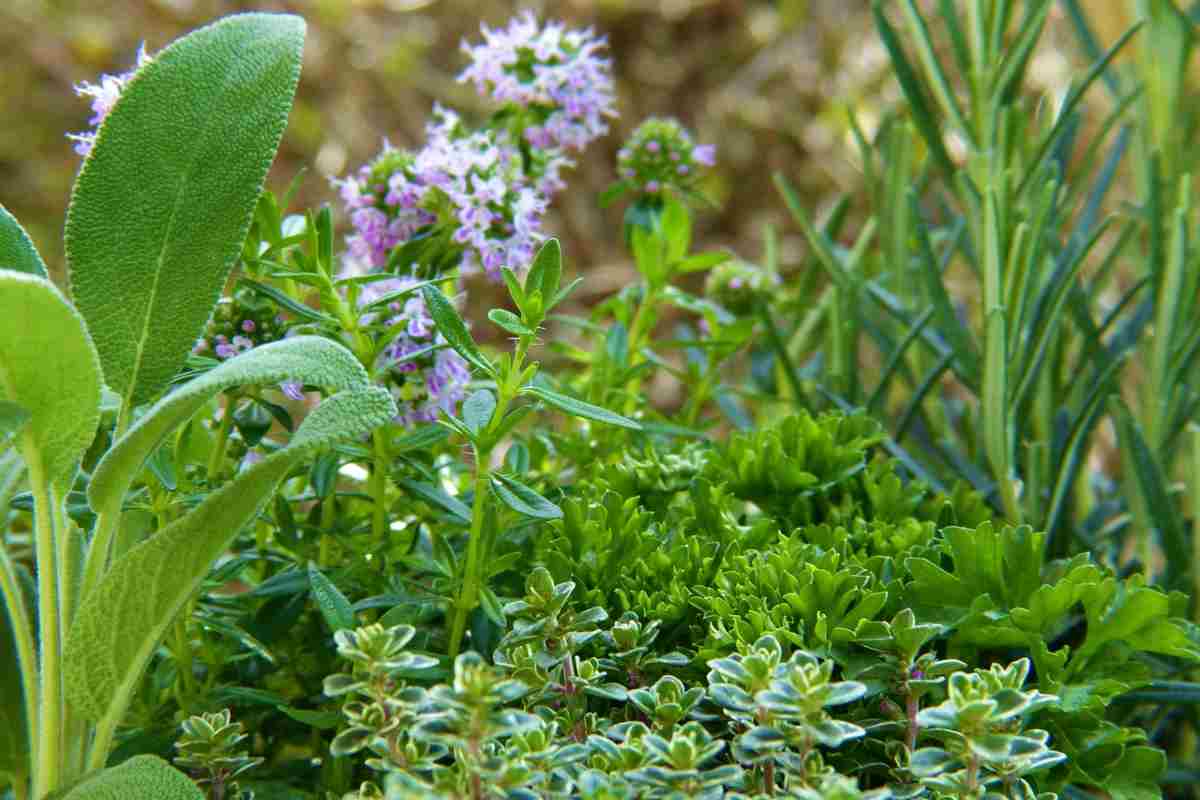 Arriva una sostanza miracolosa