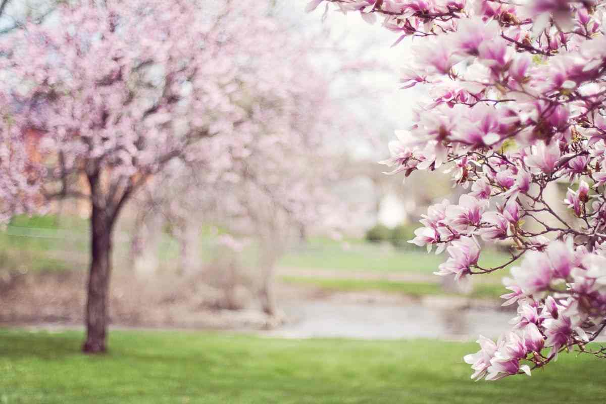 primavera stagione pericolosa